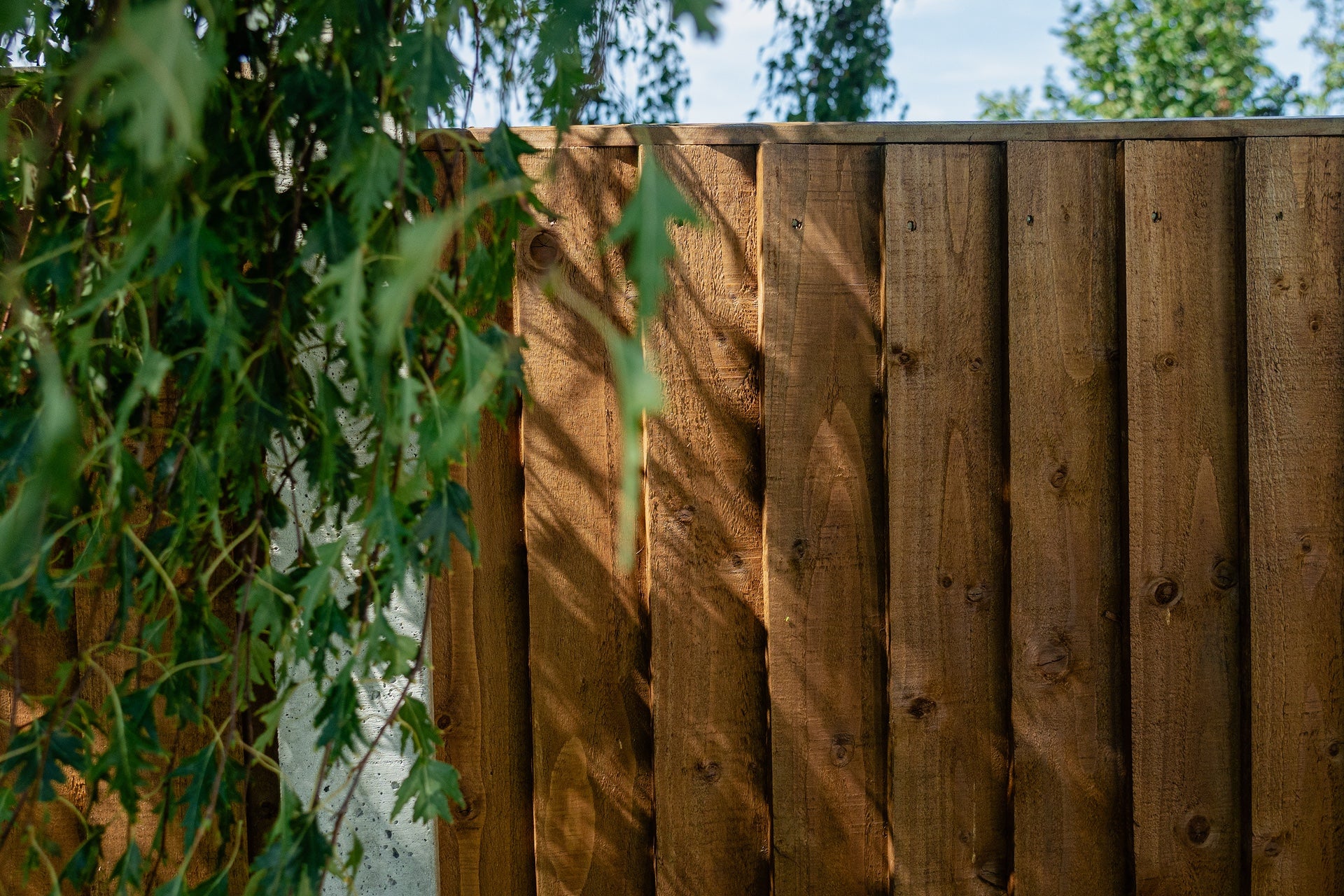 Hazelnut - Timber Eco Shield Wood Stain