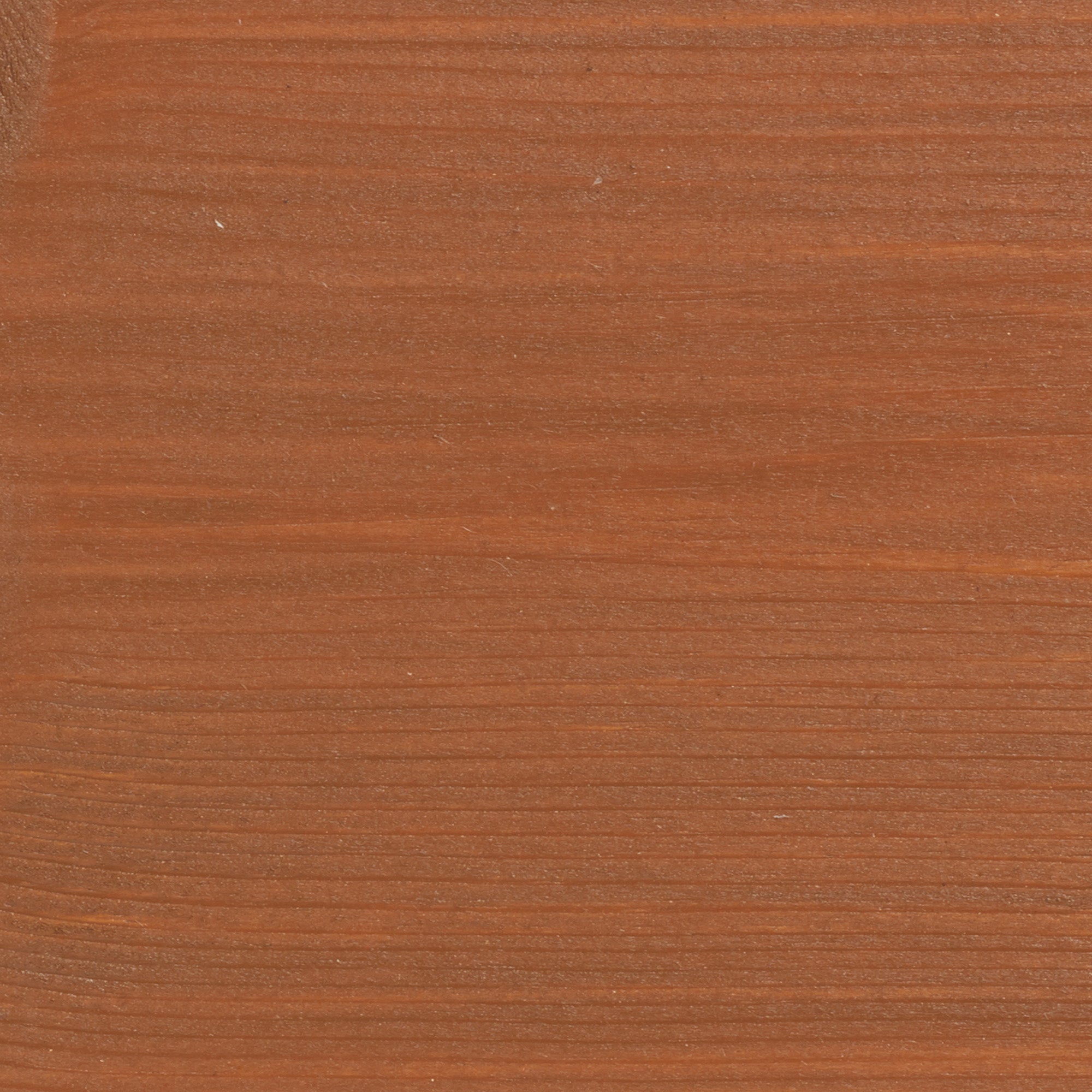 Wood Stain & Protect - Teak