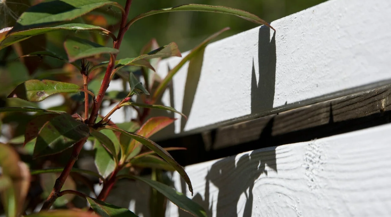 How to build a slatted fence - DIY Slat Fence Guide