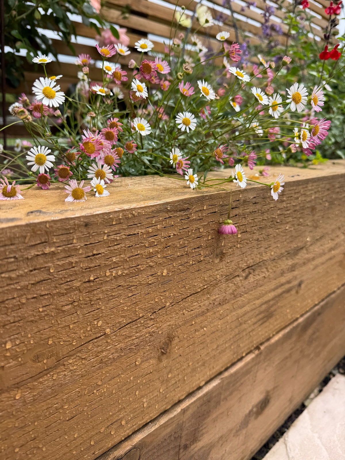 Golden Oak - Royal Exterior Wood Stain