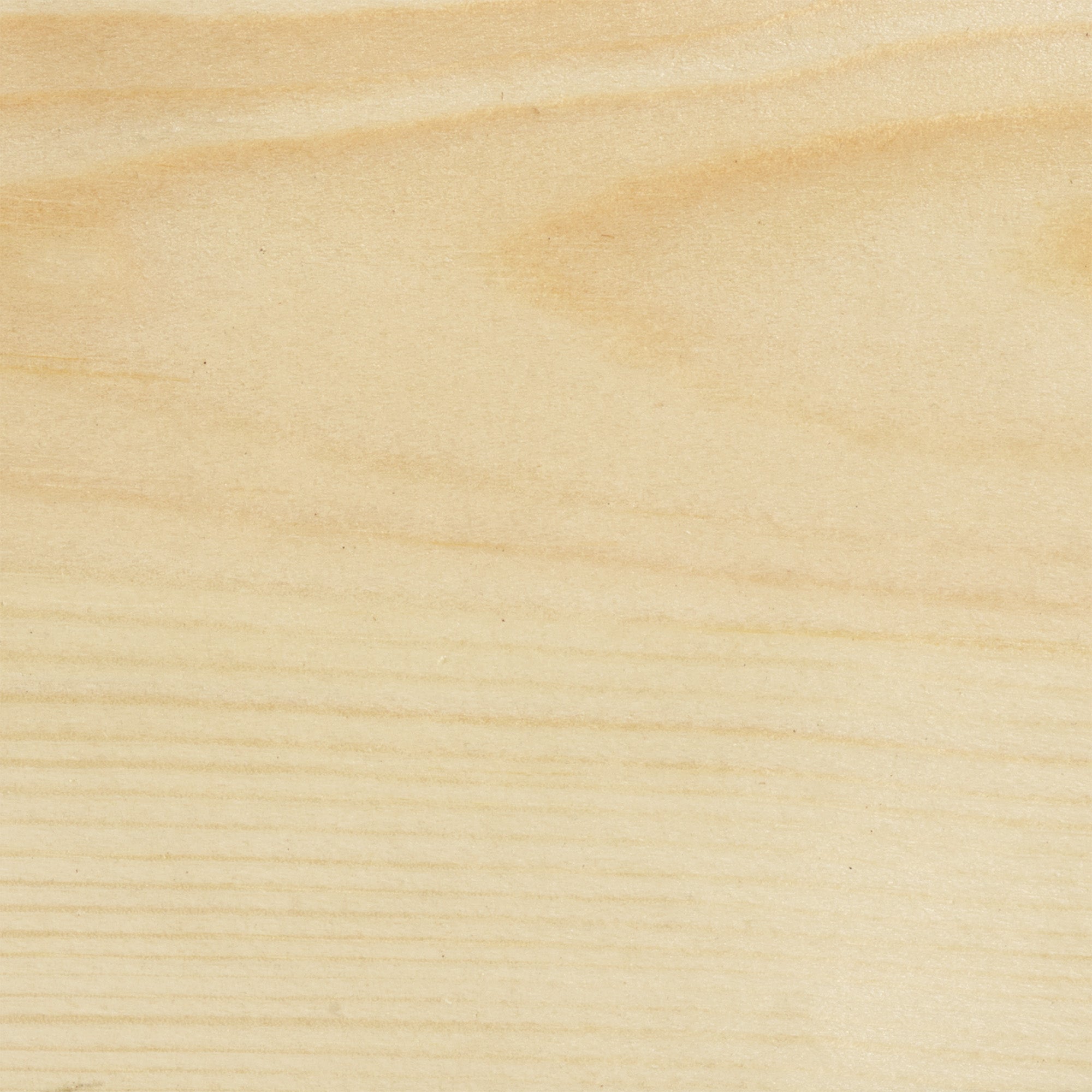 Wood Stain & Protect - Clear Tough Coat