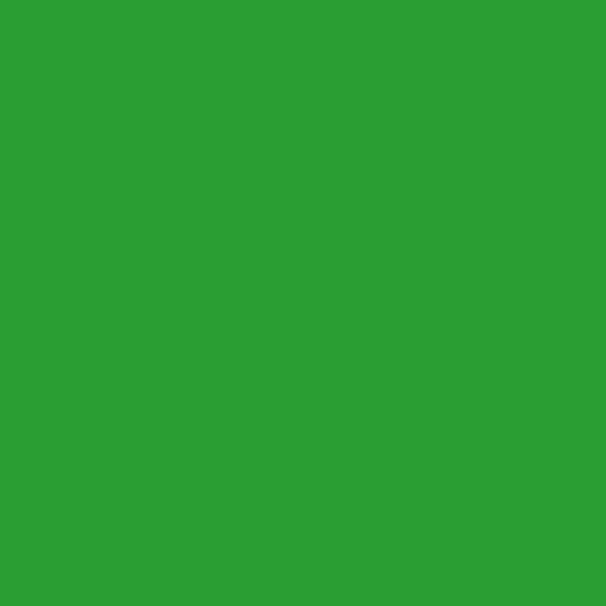 Wood Stain & Protect - Grass Green