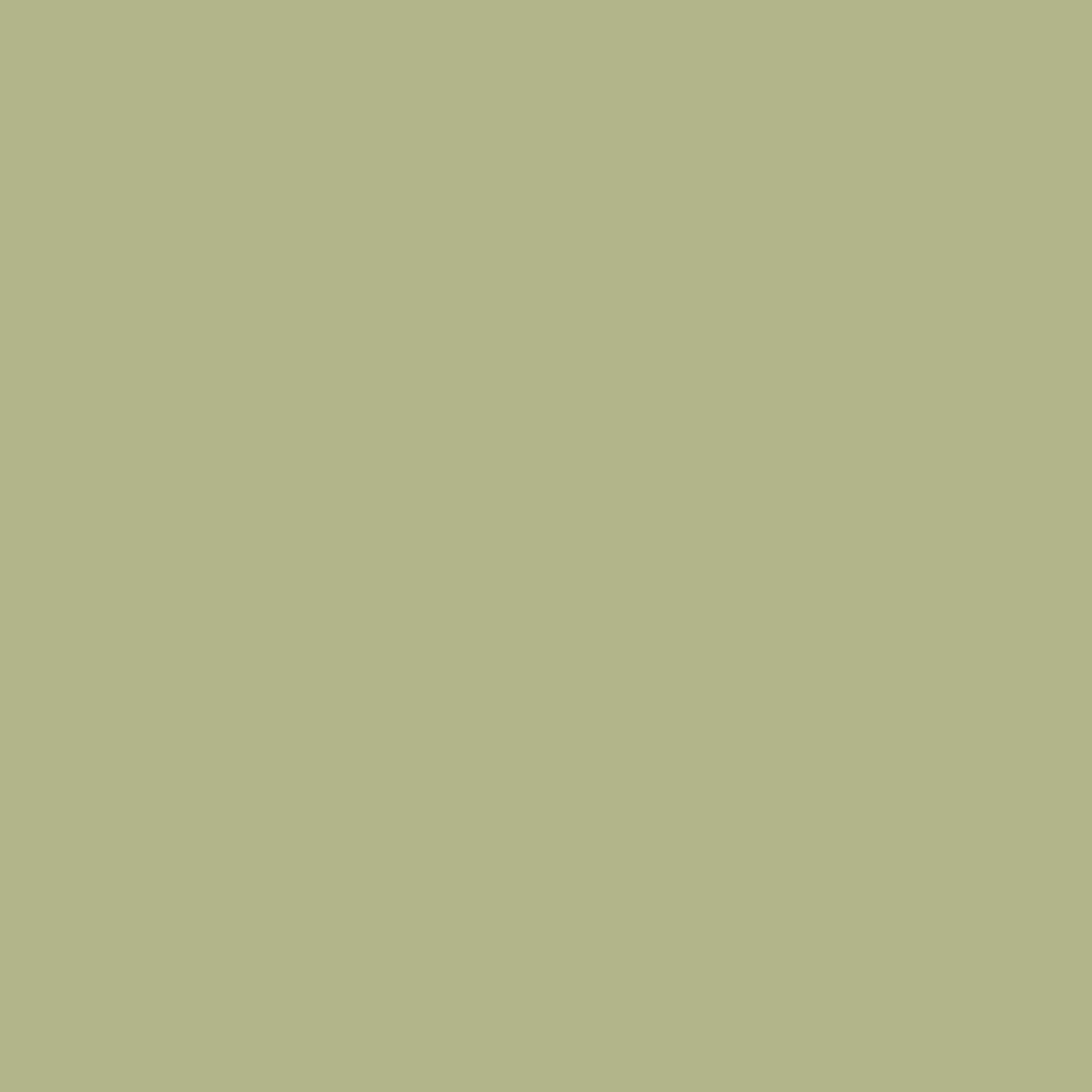 Wood Stain & Protect - Pale Sage