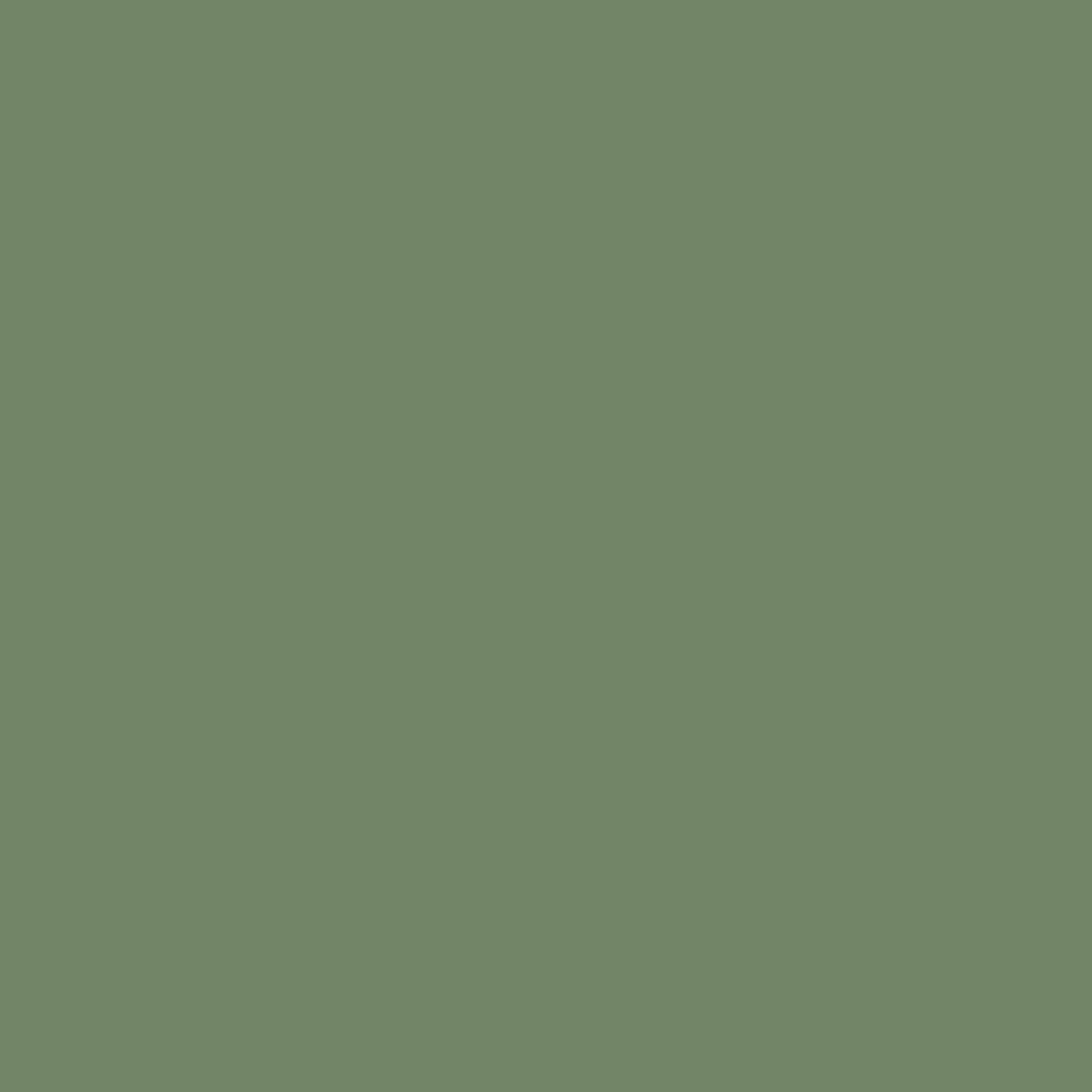 Wood Stain & Protect - Soft Sage