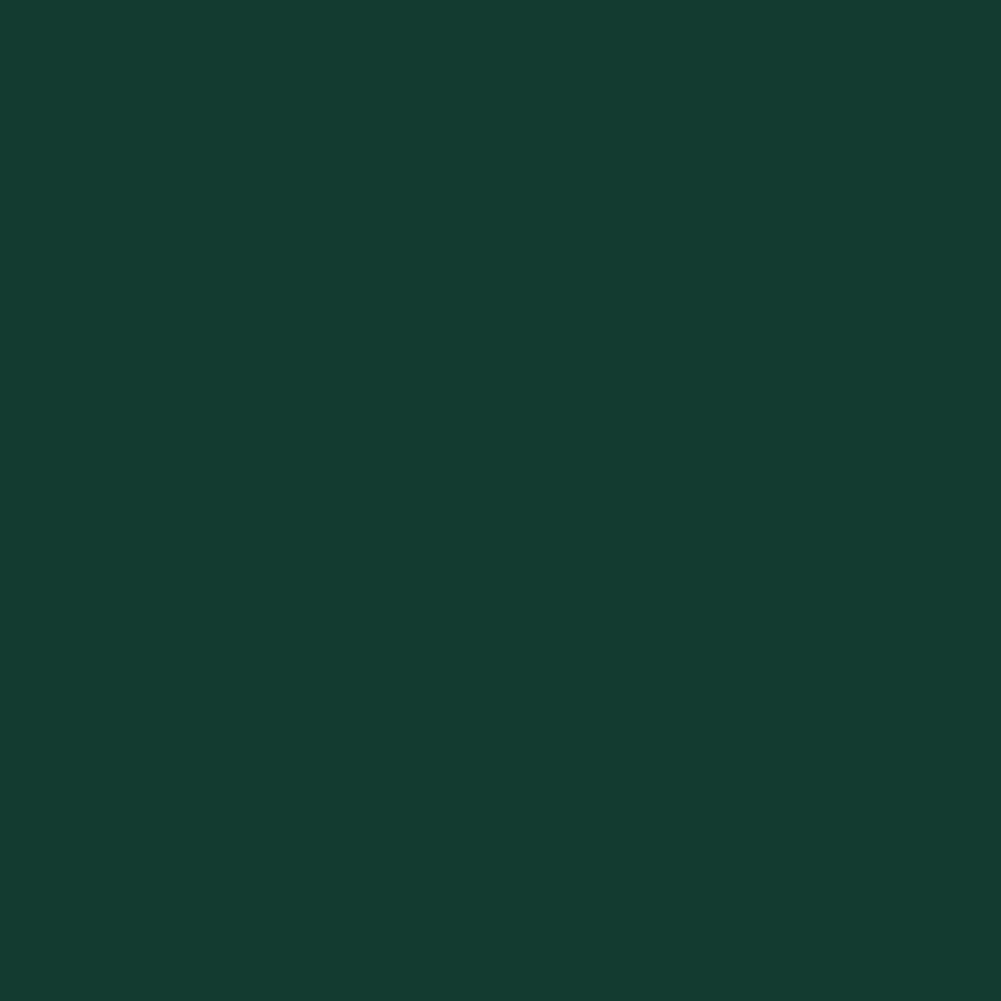 Wood Stain & Protect - Spruce