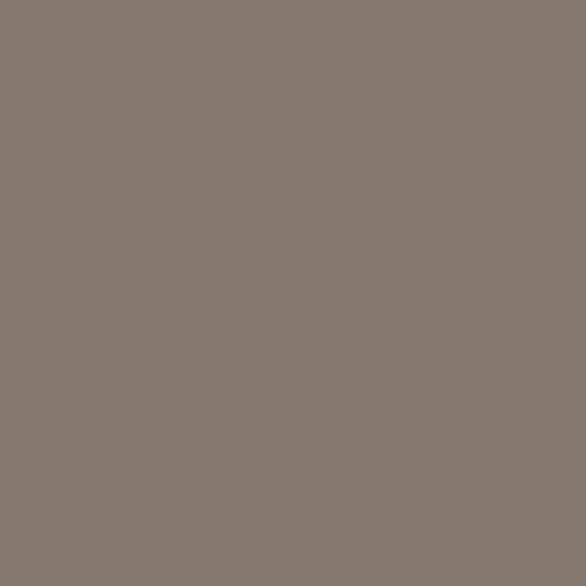 Wood Stain & Protect - Warm Grey
