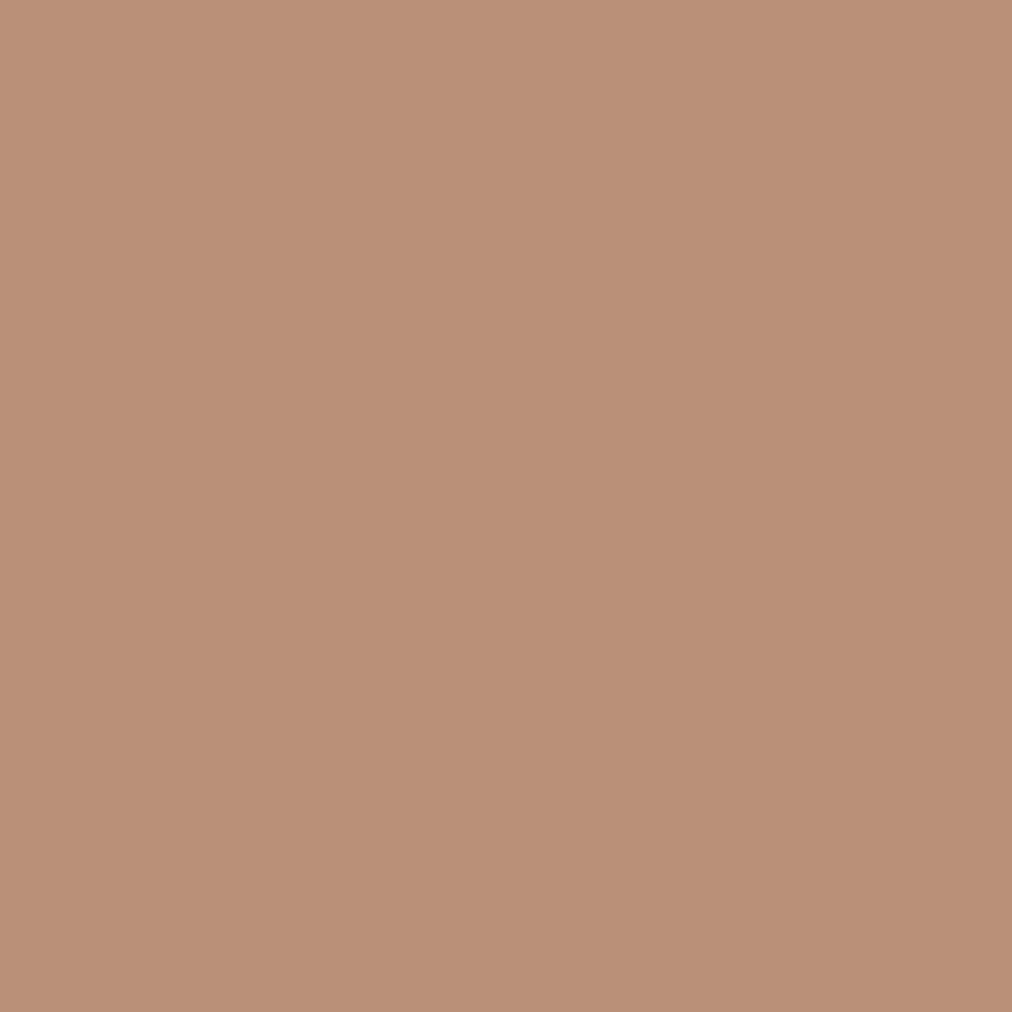 Royal Interior - Faded Terracotta