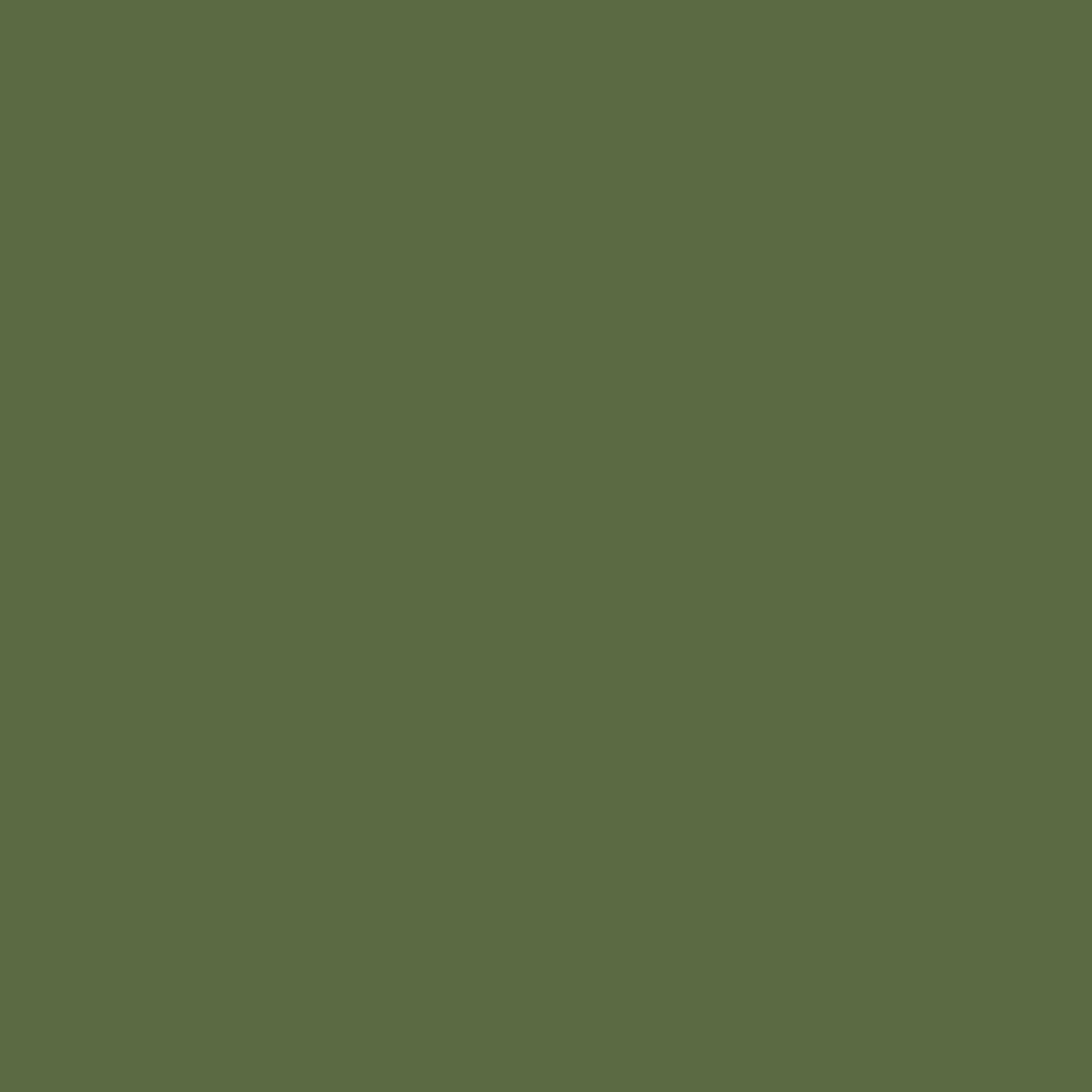 Royal Exterior - Jungle Green