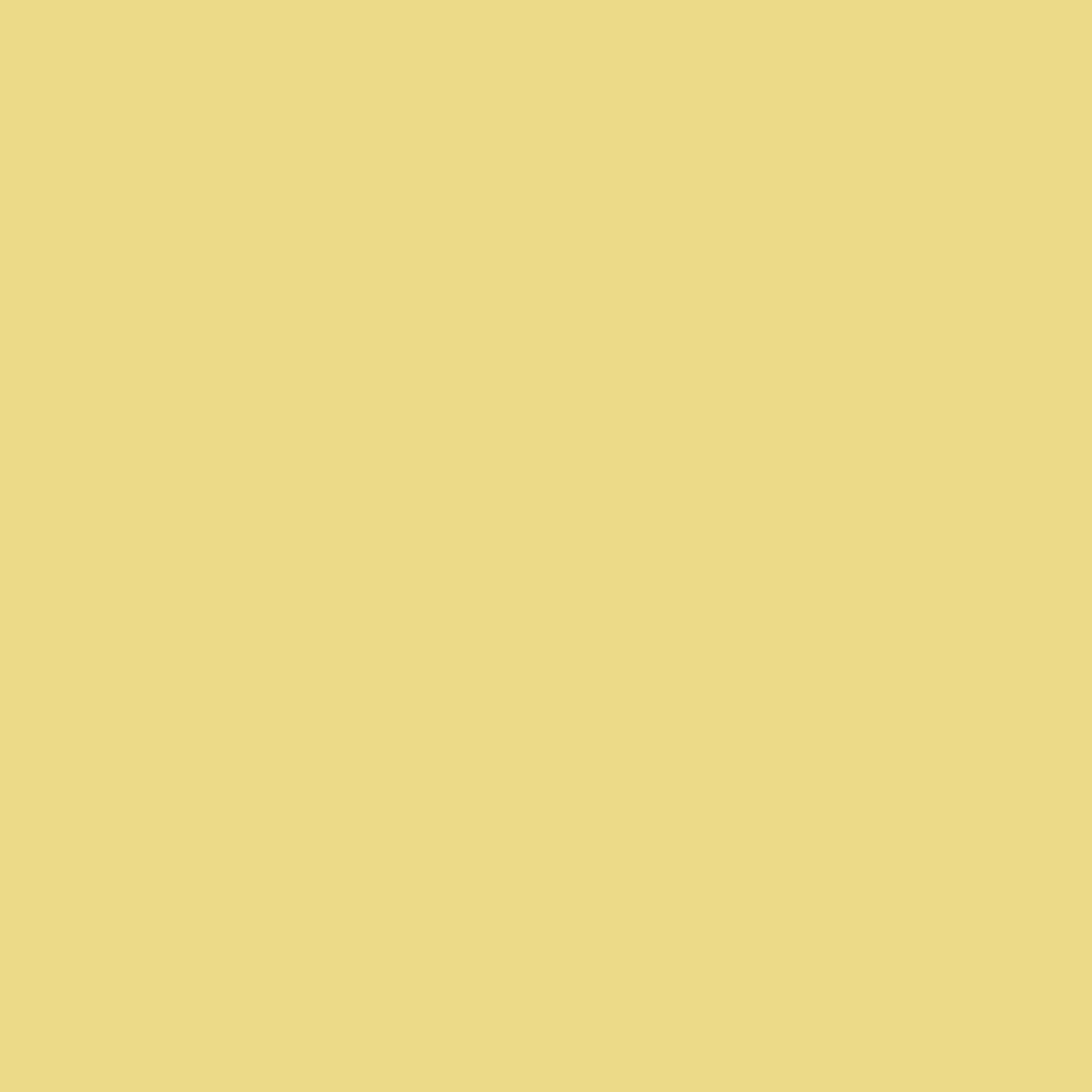 Royal Exterior - Lemon Yellow