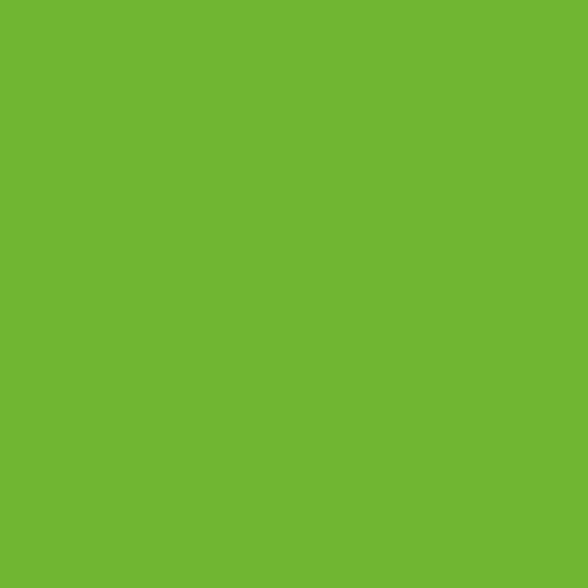 Royal Exterior - Lime Green