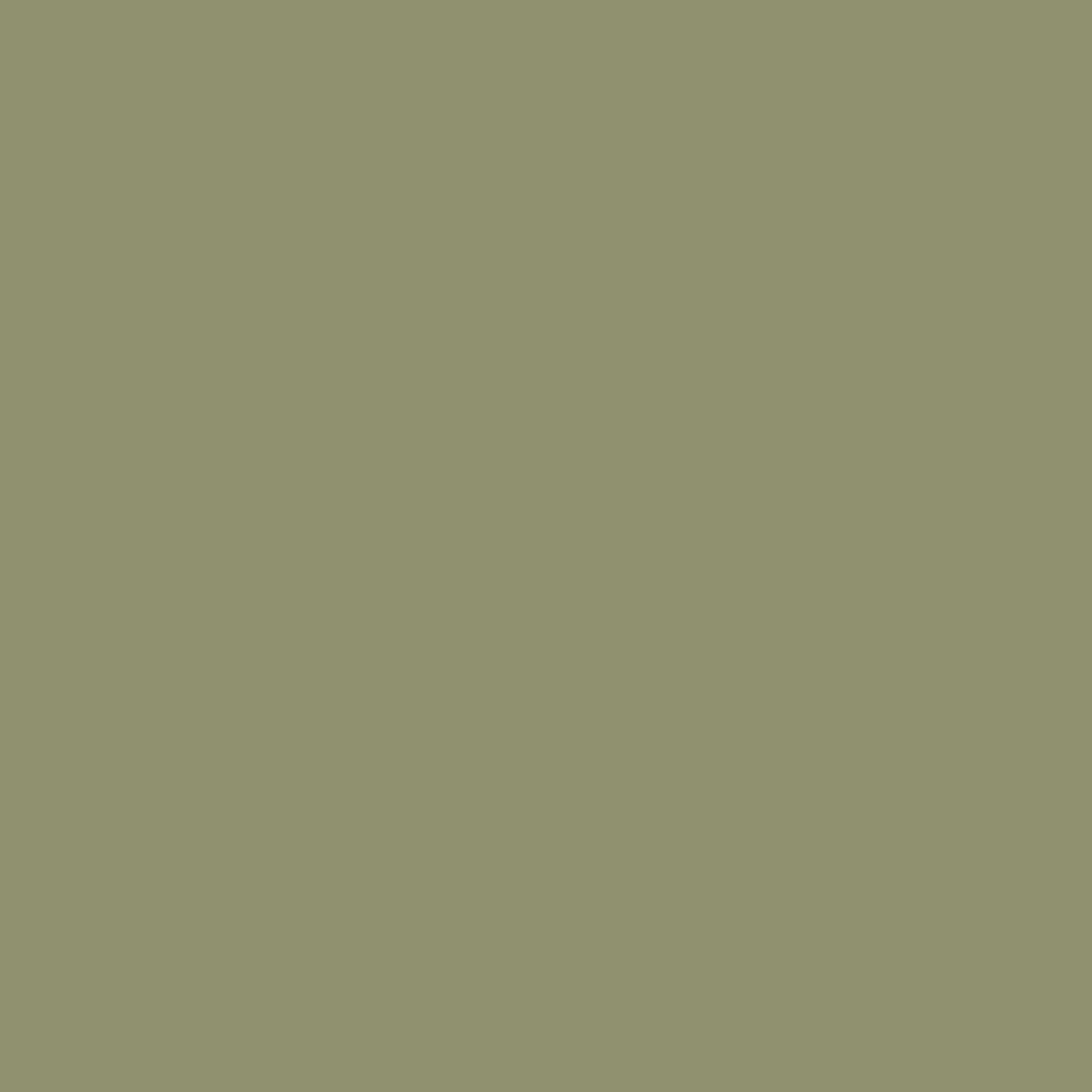 Royal Exterior - Olive Green