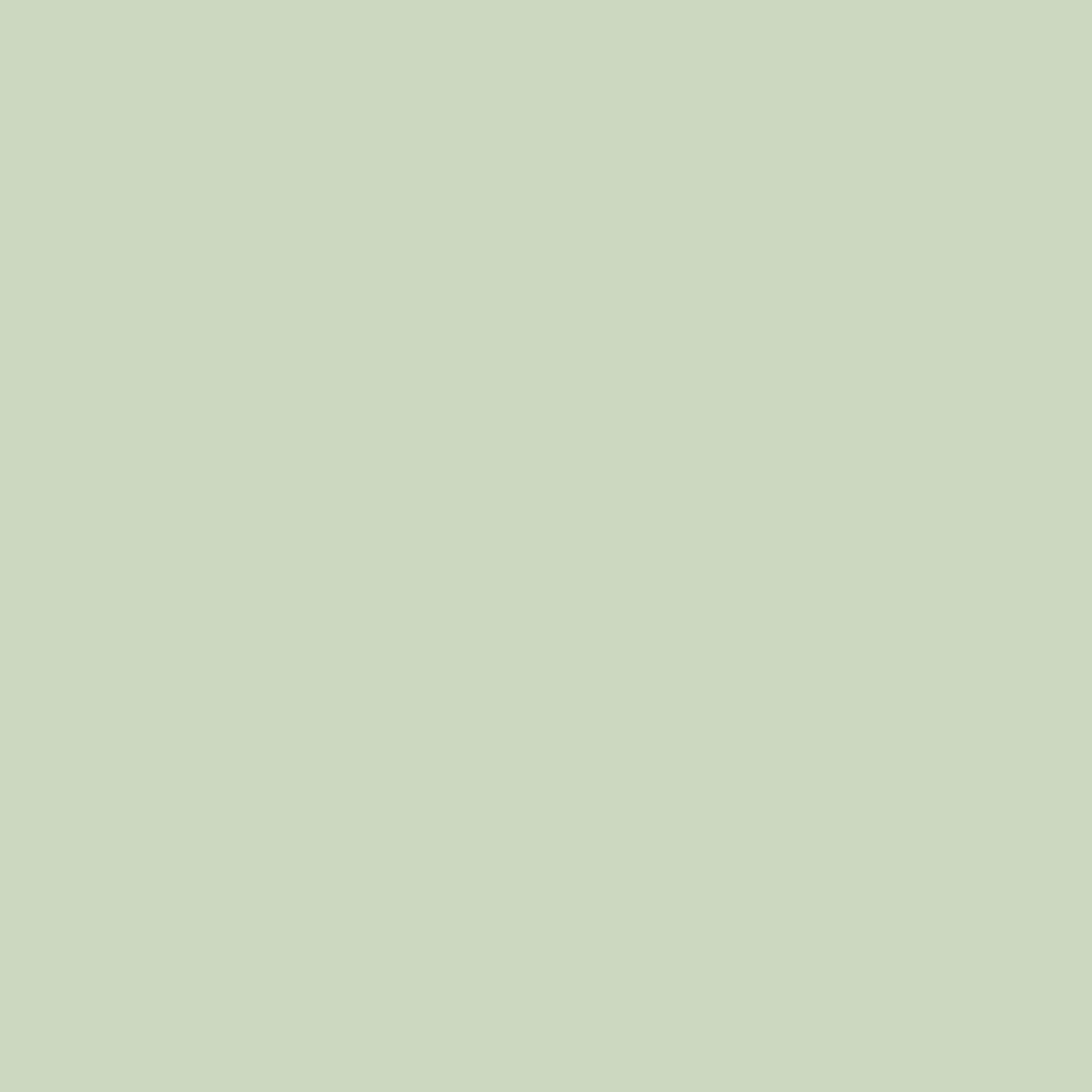 Royal Exterior - Pale Pistachio
