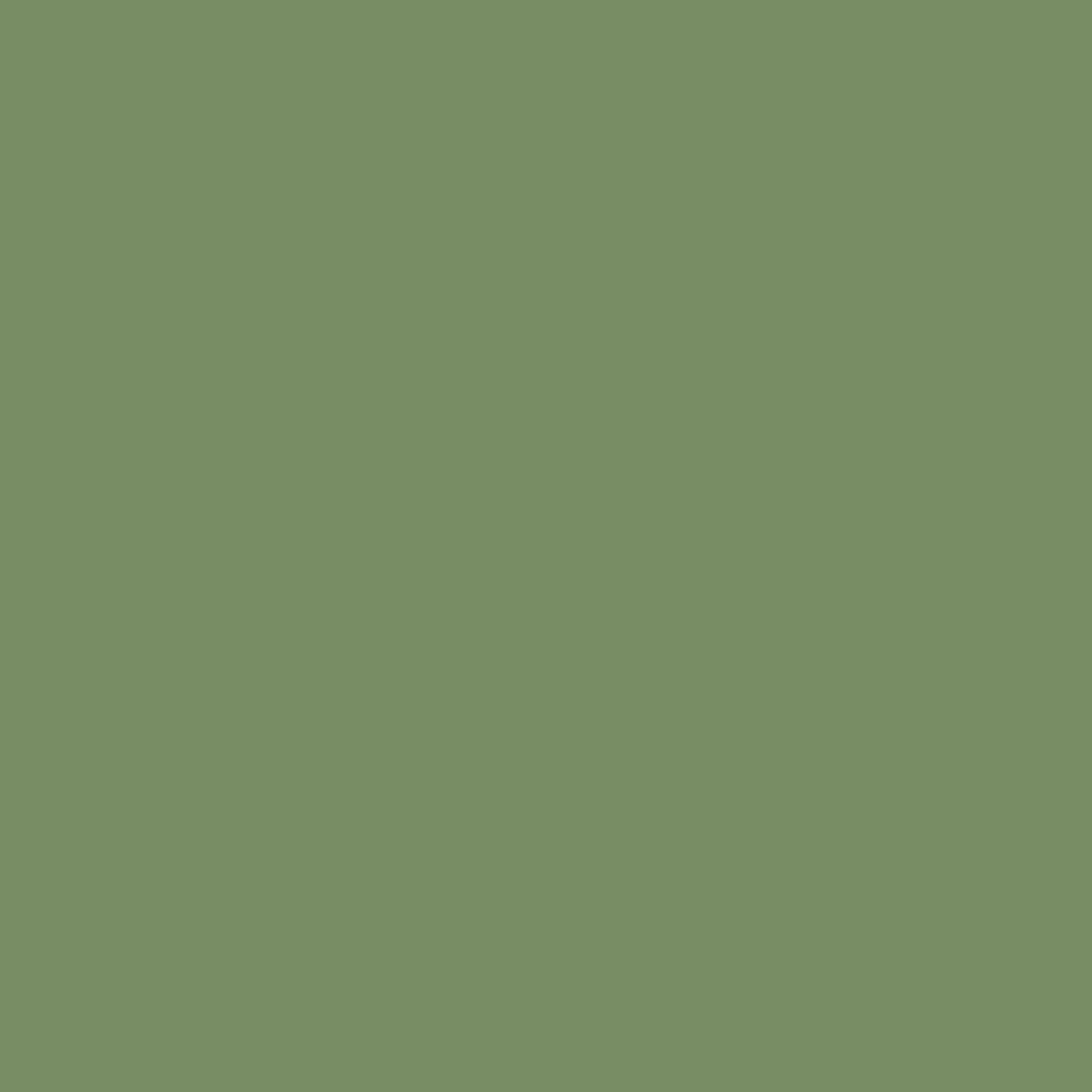 Royal Exterior - Sage Leaf