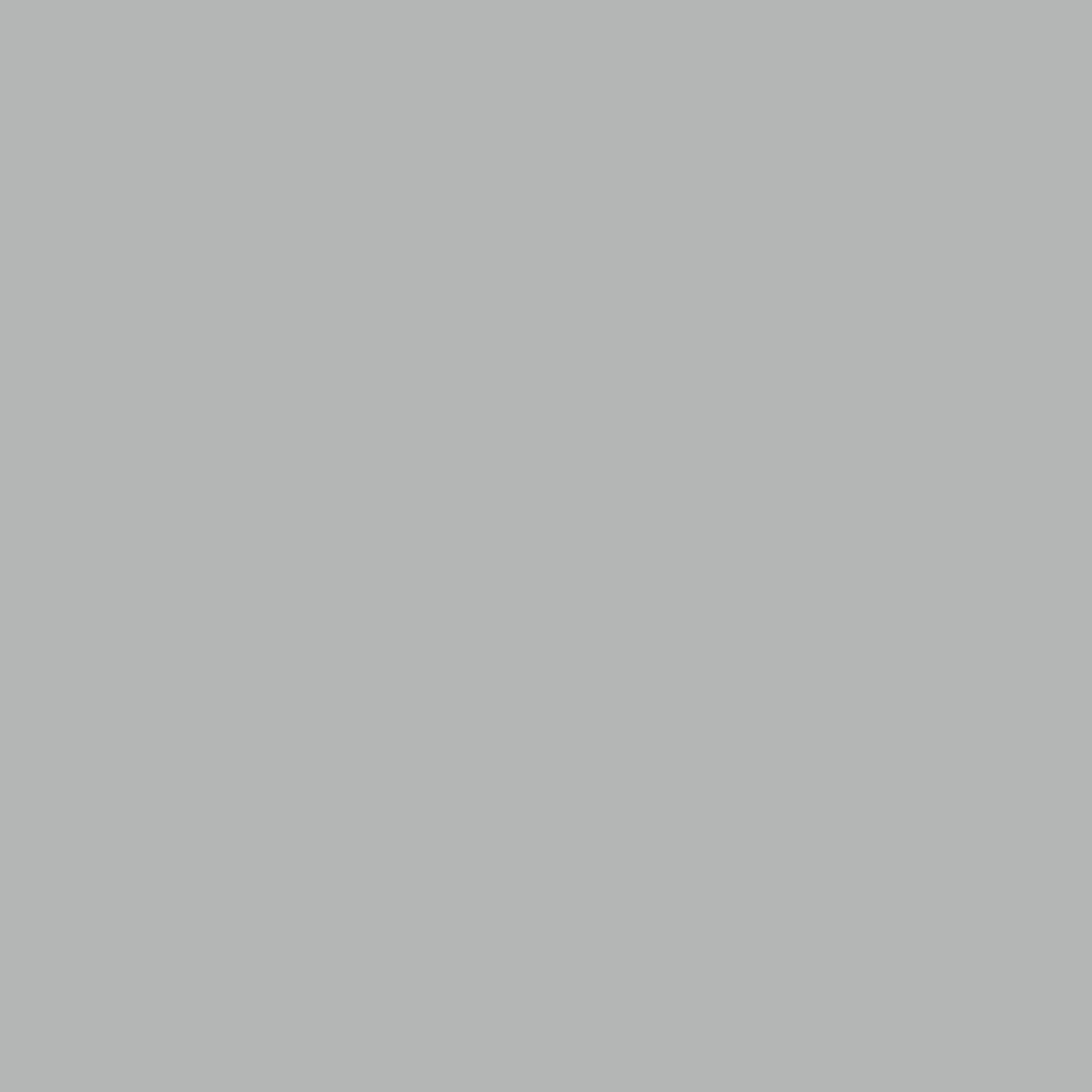 Royal Exterior - Silver Grey