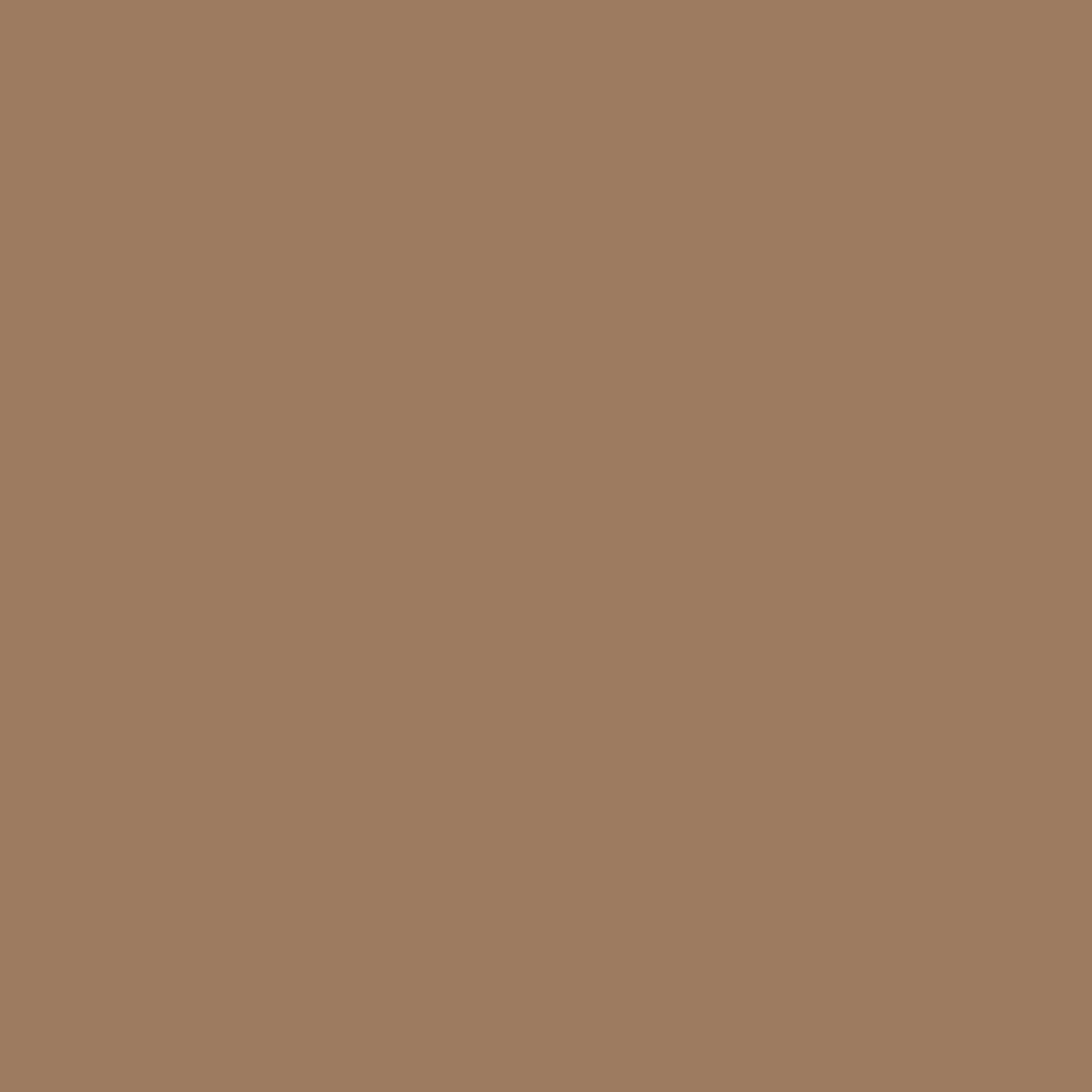 Royal Exterior - Soft Mocha
