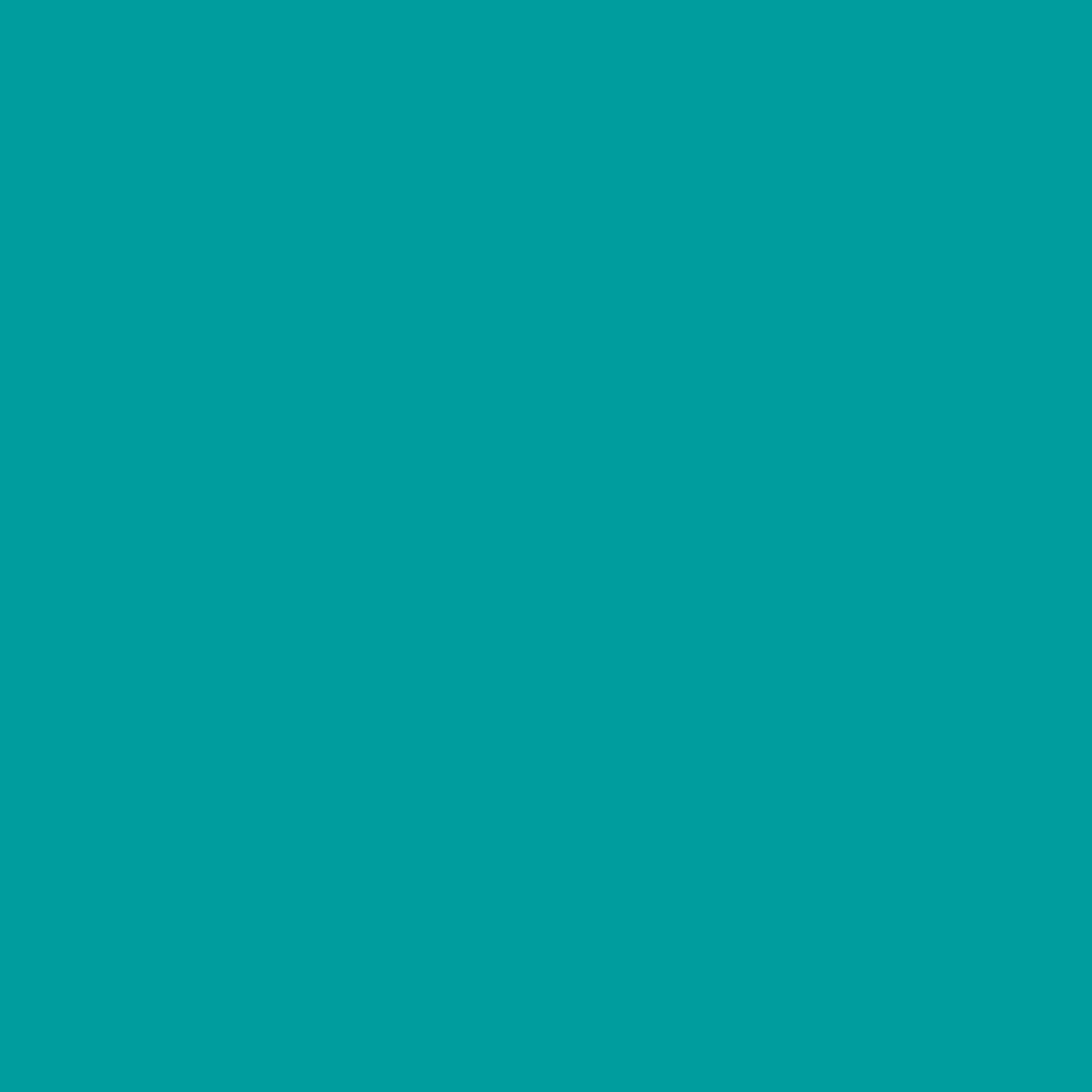 Royal Exterior - Teal