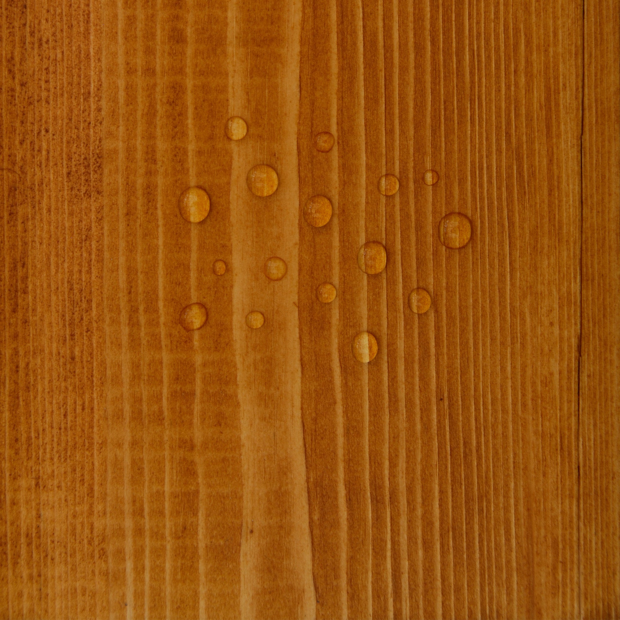 Timber Eco Shield - Golden Oak